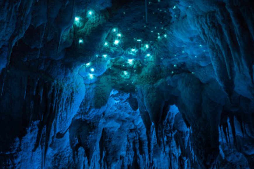 Nikau Cave Nikau Cave
